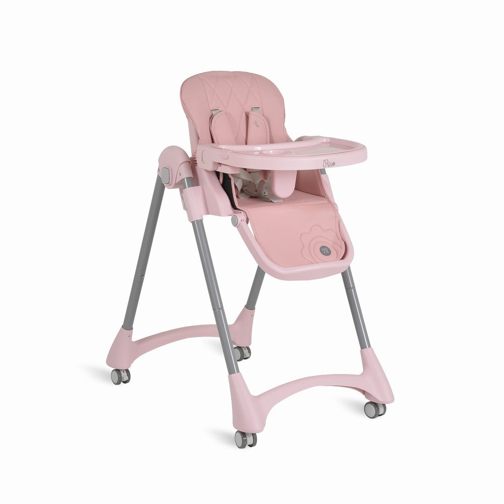 Moni Sediolone Pappa Rico Rosa