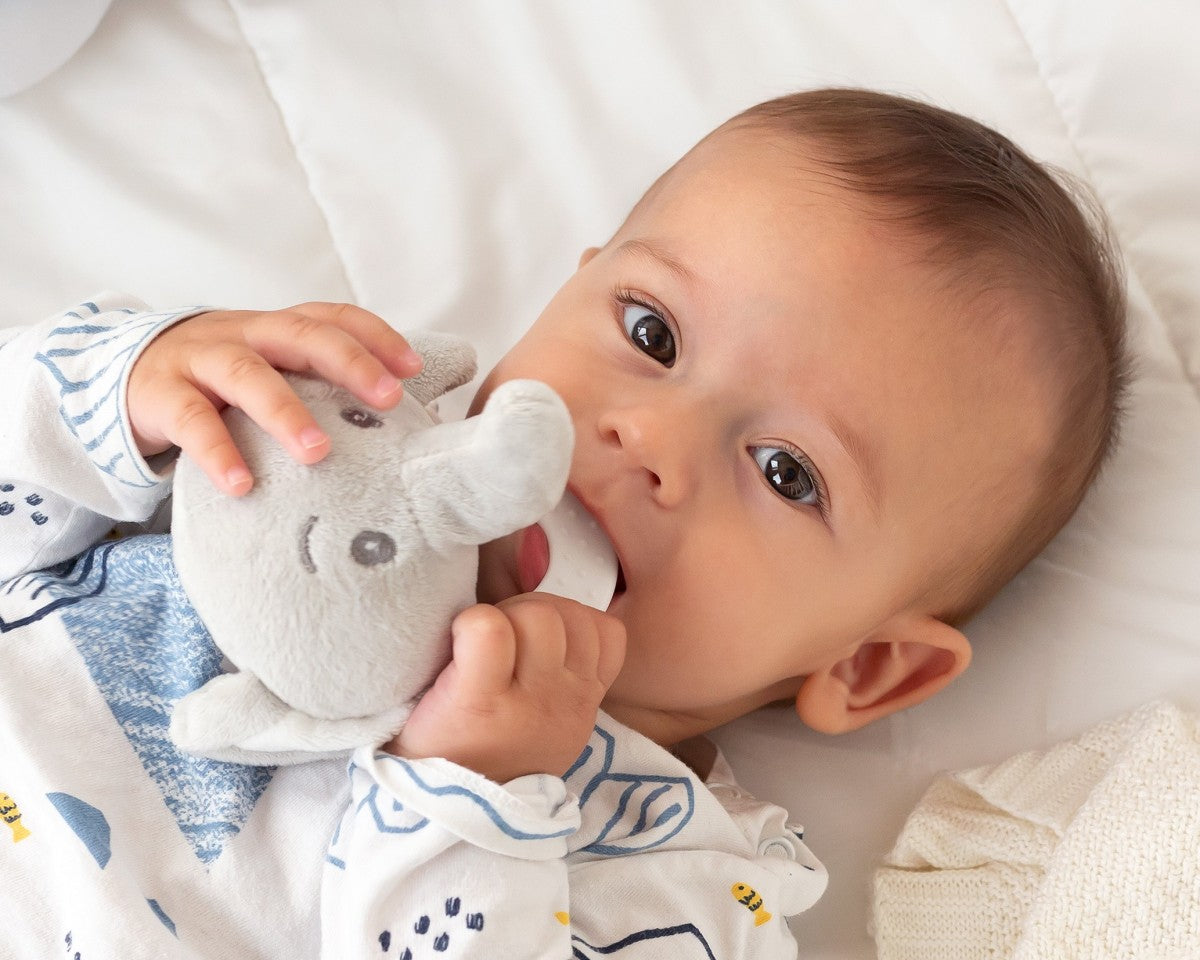Kiokids Massaggiagengive Peluche Elefante Grigio 13cm