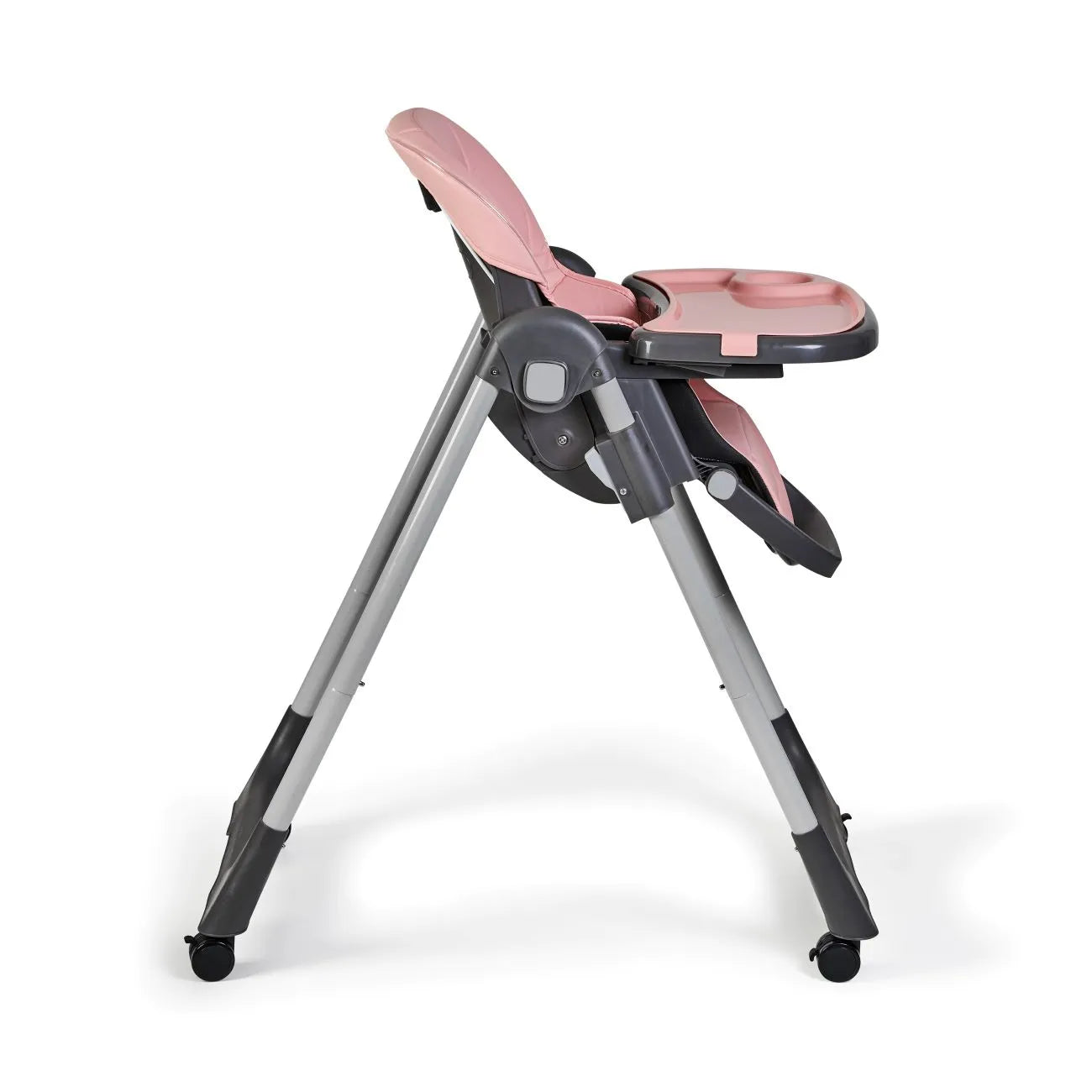 Sediolone Pappa Ms Tasty Rosa