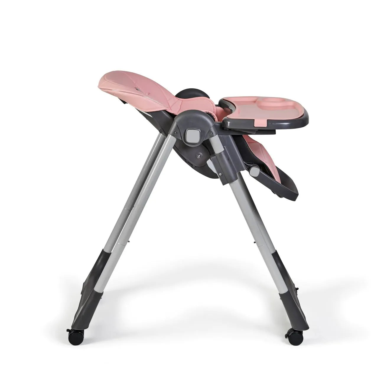 Sediolone Pappa Ms Tasty Rosa