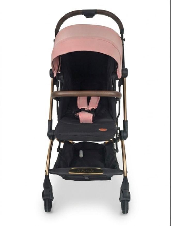 Passeggino Leonie Turn 360 Fronte Mamma e Fronte Strada con Coprigambe, Zaino e Zanzariera Omologato 0/22kg Rosa