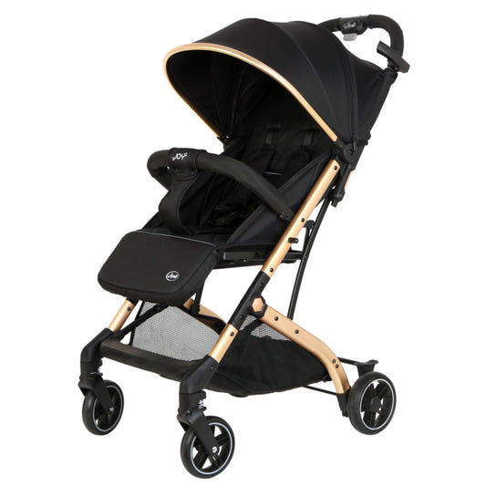 Passeggino Leggero Leonie Joy con Borsa e Coprigambe Vari Colori 0/22kg